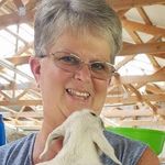 Sharon Heckman Shilling - @sharon.h.shilling - Instagram