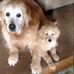 Sharon Shilling - Facebook