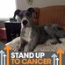 Sharon Shilling - Facebook