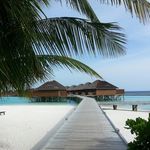 Sharon - @sharons_house - Instagram