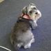 Sharon Shrader - Facebook