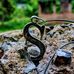 Sharon Shrader - Facebook