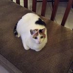 Sharon Shrader - @sharon.shrader.982 - Instagram