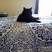 Sharon Shrader - Facebook