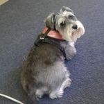 Sharon Shrader - @shrader.sharon - Instagram