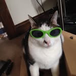Sharon Sievert - @sharonsievert1 - Instagram