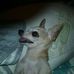 Sharon Silvers - Facebook