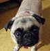 Sharon Simpkins - Facebook