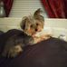 Sharon Sink - Facebook