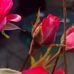 Sharon Sinnott Helwig - Facebook