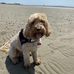 Sharon Sinton - Facebook