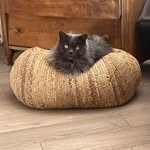 Sharon Barnes Sippel - @rubyandrossie - Instagram