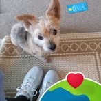 Sharon Sisson - Facebook