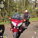Sharon Sissons - @sissonssharon - Instagram