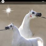 Sharon Slagle-Allen - @sharonslagleallen - Instagram