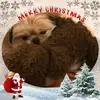 Niecy Pooh - @sharonsledge2 - TikTok