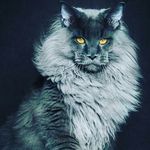 sharon sledge - @sasledg3 - Instagram