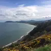 sharonslevin732 - @sharonslevin732 - TikTok