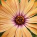 Sharon Slusher - Facebook