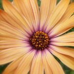 Sharon Slusher - @sharon.slusher.98 - Instagram