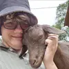 Sharon Smith - @sharonsmith - TikTok