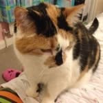 Sharon Snowden - @sharonsnowden62 - Instagram