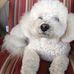 Sharon Snuffer - Facebook