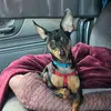 Sharon_Winterod - @southernbelle_sharonw - TikTok