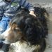 Sharon Spalding - Facebook