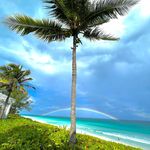 Sharon Spann Poirrier - @rupertphinney - Instagram