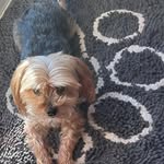 Sharon Sparkman - @goldengirls30 - Instagram