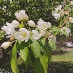 Sharon Sparkman - @sesparklepants - Instagram