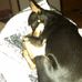 Sharon Sparrow - Facebook