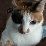Sharon Sparrow - @sharosparo - Instagram