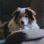 Sharon Watkins Sparrow - @sparrowsharon - Instagram
