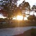 Sharon Speights - Facebook