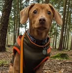 Sharon Spindler - Facebook