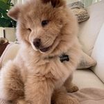 Sharon Spitz - @sharona623 - Instagram