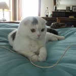 Sharon Spitzke - @sharonspitzke - Instagram