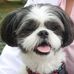 Sharon Spratt - Facebook