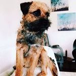 Sharon Spratt - @sharon_spratt1 - Instagram