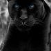 Sharon Spurlock - Facebook