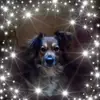 Sharron Squires - @sharronsquires - TikTok