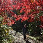 Sharon Stahl Bogdanovic - @sharonbogdanovic - Instagram