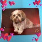 Sharon Enmon Stancil - Facebook