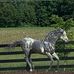 Sharon Standish - Facebook