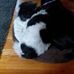 Sharon Standish Parkes - Facebook