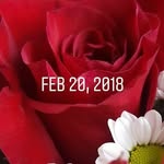 Sharon Stanfield - @stanfield6824 - Instagram