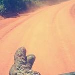 Sharon Stanfill - @sharonstanfill - Instagram