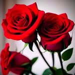 Sharon Stanfill - @stanfill2232 - Instagram